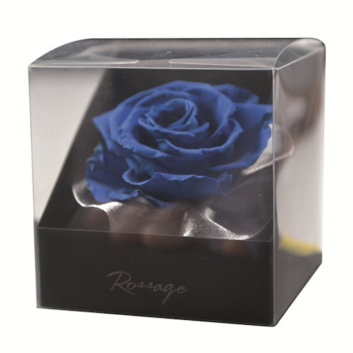 Corsage - Rossage Majolica Blue