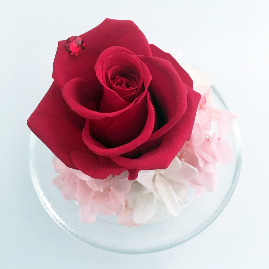 Be Mine Flower Dome (#14) - Pink Hydrangea