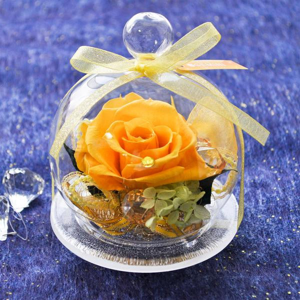 Rose Glass Dome - Yellow