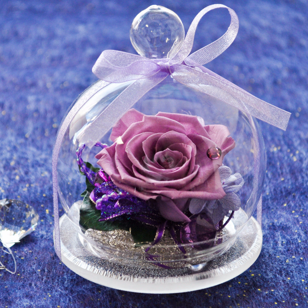 Rose Glass Dome - Lavender