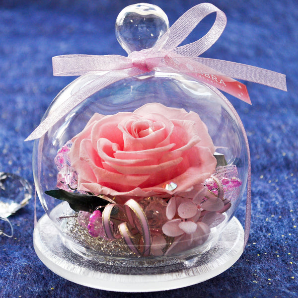 Rose Glass Dome - Pink