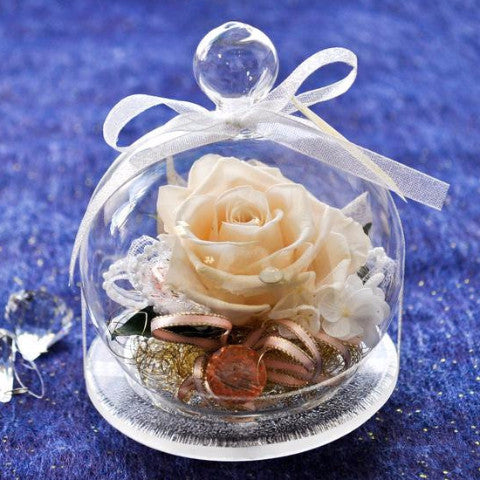 Rose Glass Dome - White