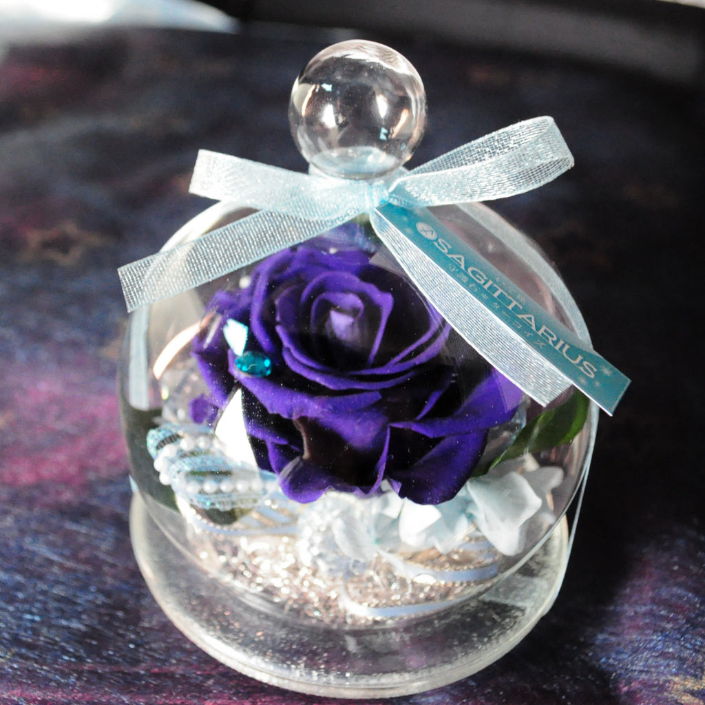 Rose Glass Dome - Dark Purple