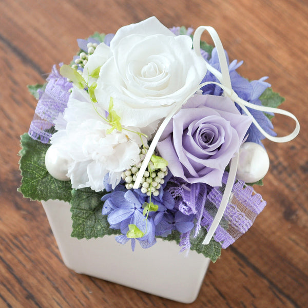 Cute Cube - Purple & White