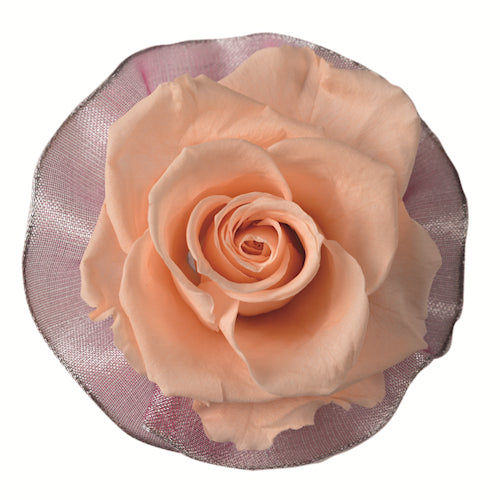 Corsage - Rossage Peach