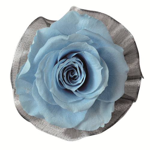 Corsage - Rossage Powder Blue