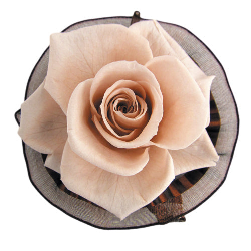 Corsage - Rossage Nude Pink