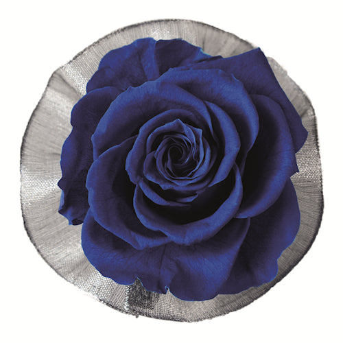 Corsage - Rossage Majolica Blue