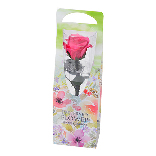 Stem Rose Gift Collection - Garden