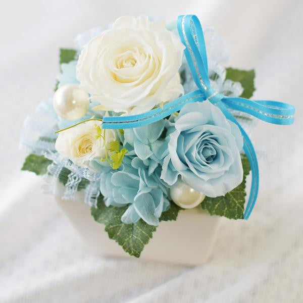 Cute Cube - Aqua Blue