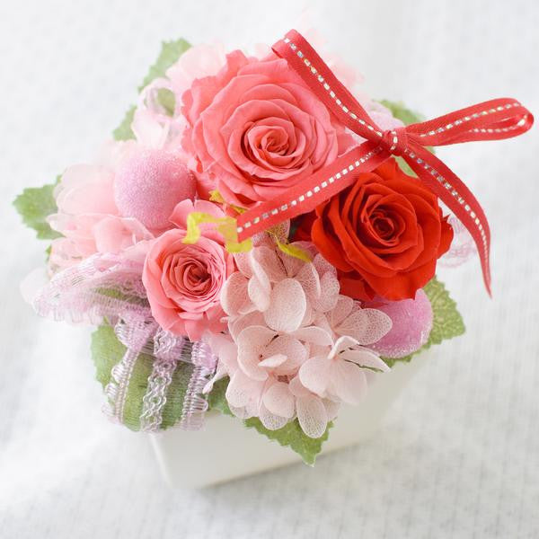 Cute Cube - Candy Pink