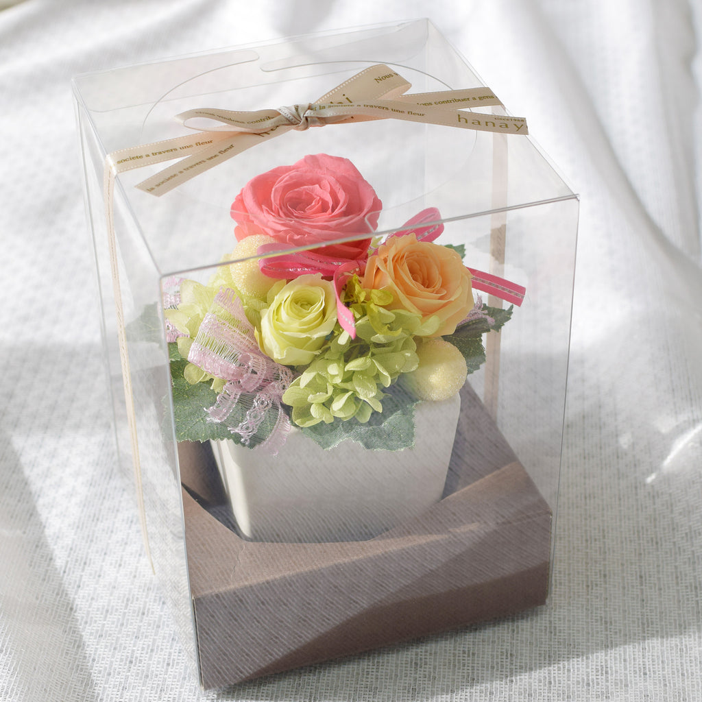 Cute Cube - Marigold Orange