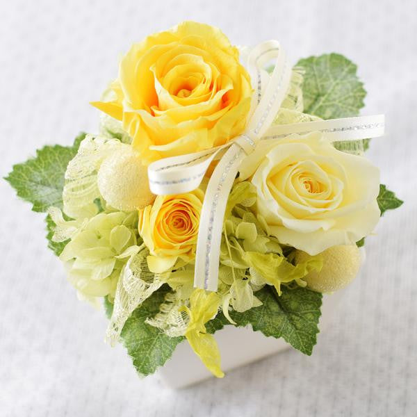 Cute Cube - Egg Yellow
