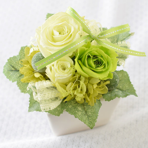 Cute Cube - Forest Green