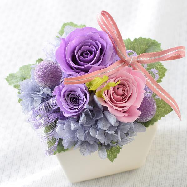 Cute Cube - Lavender