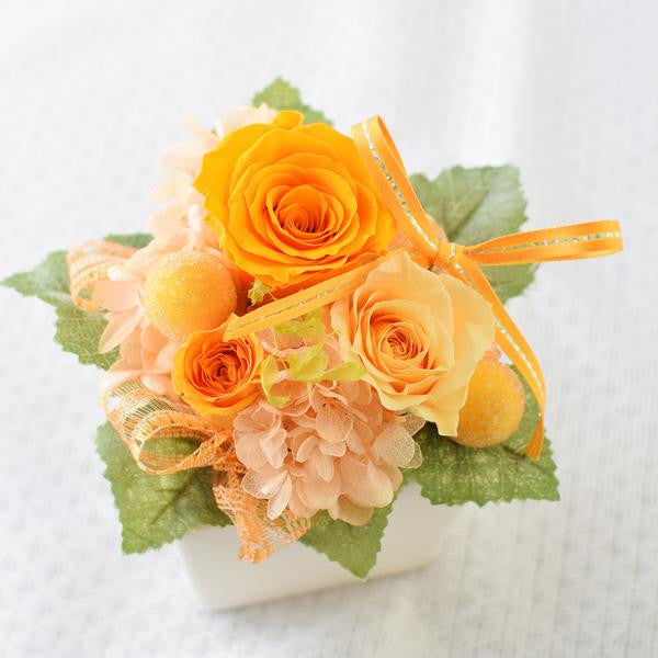 Cute Cube - Marigold Orange