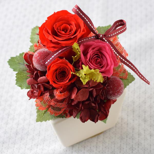 Cute Cube - Cherry Red