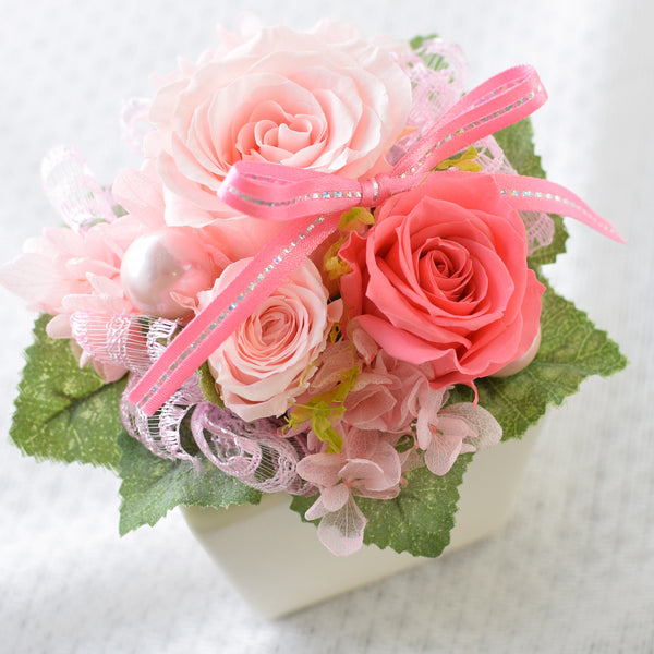 Cute Cube - Shell Pink